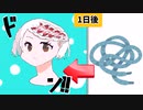 靴ひもを擬人化してみた【ゆっくり茶番】