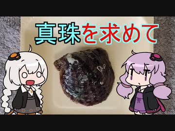 【第三回原石祭】あかりちゃんの真珠探し【VOICEROID劇場】