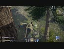 【NARAKA】戦闘風景【武田信忠】