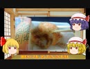 【ルーミアの食レポ】レミリアさんのお酒とおつまみのコーナー