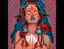 Kill The Noise - Roots