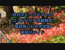 【ニコニコ自転車動画祭2022秋】彼岸花ライド 【ゆっくり】