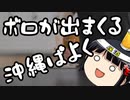 反基地パヨク、搬入の嬉しさのあまり踊りだす。