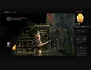 【DARK SOULS】ヘルカイトちらちら（めるなま録画）