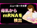 接種女性の母乳からmRNA検出【ニューヨーク大学】新生児死亡率過去の2倍超【スコットランド】