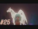 【DRAGON QUEST10 オフライン】ほぼ初見！ドラゴンクエスト10実況プレイ Part25