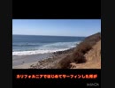 Fun wave county line