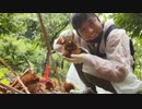 #七原くん 20221009「秋の味覚！栗拾い！！」米無全編(柴犬／終盤作戦会議も) #七原浩平