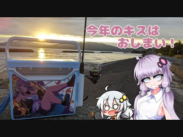 【VOICEROIDフィッシング】今年最後のキス釣り！【チョイ投げ】
