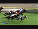 プラチナトレジャー　東京・tvk賞　2022年10月8日