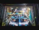 アミューズメントパーク ピンボールフィーチャー 8,000win