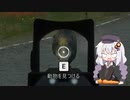 広大な大自然で狩りをするあかりちゃんのtheHunter: CotW#14