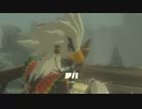 【アーカイブ】ゼルダの伝説 ブレス オブ ザ ワイルドを楽しむ 23話目【人生初】