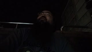 【藪。】ムクドリの大群にブチギレられる