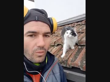 ホモと見る猫の鳴き真似が上手いオッサン