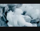 我々、或いは認知の相違 - The Night Shift feat.VY2V5
