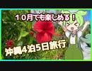 【VOICEVOX実況】4泊5日の10月沖縄満喫旅行にいってきた！【Vlog】