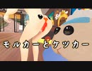 【VRChat】衝撃！出会ってしまったケツカーとモルカー【Vket6】