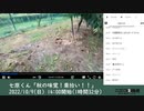 七原くん「秋の味覚！栗拾い！！」（2022/10/9）