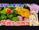 平凡料理人マキ、炊ぐ「サルサ」