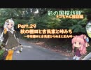 part.29 秋の棚田と古民家と峠みち【彩の国探訪録：トコちゃん探訪編】