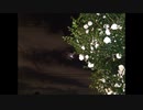 【オリジナル】Before Daylight【インスト】