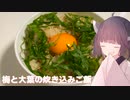 #105「お手軽」梅と大葉の炊き込みご飯！【東北きりたん】