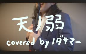 天ノ弱を歌いました【ノダサマー】