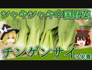 【ゆっくり解説】チンゲンサイの栄養について解説！