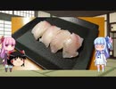 琴葉姉妹と行く釣行記録（海釣り編part27）