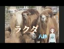 ラクダ － 八紗（やしゃ)
