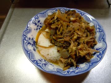 【本気料理祭2】本気和風カレー【全てはカレーになる】