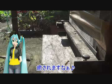 【素人養蜂　Part75】様子見です