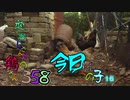 変なおじさんとこの　鶏さん３５８　今日はこの子１６