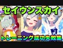 【ウマ娘】練習（トレーニング）成功と失敗集〝セイウンスカイ編〟