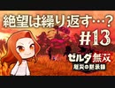【絶望は繰り返す?】ハイラル城からの脱出【ゼルダ無双 厄災の黙示録】Part13