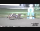 第35回マイルチャンピオンシップ南部杯 カフェファラオ