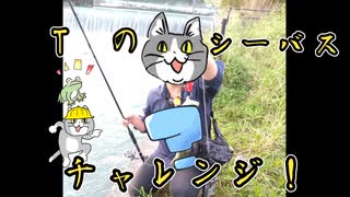 Tのシーバスチャレンジ！