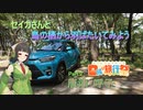 【日帰り旅行祭】セイカさんと鳥の栖から羽ばたいてみよう Part.2 唐津・呼子【Voiceroid車載】