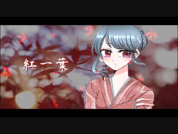 紅一葉 - 歌ってみた ✼ Aoi.