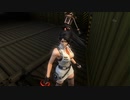 [RE3]ポリス紅葉を鑑賞するだけ「ニンジャガイデン マスターコレクション」