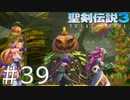 【聖剣伝説3ToM】義賊と王女と王女とひよこの話 39【Steam版】
