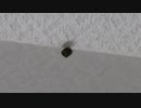 害虫のカメムシをLCPで撃墜してみる