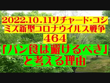 【2022年10月11日：リチャード・コシミズ Internet 講演 （ ニコニコ生放送 ）（ 改良版 ）】