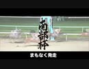 【ウマ娘風】第35回JpnⅠマイルチャンピオンシップ南部杯(盛岡・2022)
