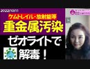 【重金属のデトックス】ゼオライトでできる！　#ケムトレイル　#酸化グラフェン　#医薬品　#放射能汚染　#寄生虫　#細菌　#ウイルス