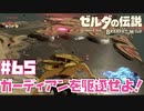 ちょっくらハイラル城で腕試し！【お散歩編①】#65