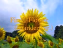 【歌ってみた♬】Fire◎Flower（Spakler Ver.）／halyosy『かずかずぱんだ』