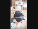 家のこと