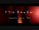 【歌ってみた】ドリームキャッチャー～Acoustic cover “Red”～/エルニシオン -cover- S blood